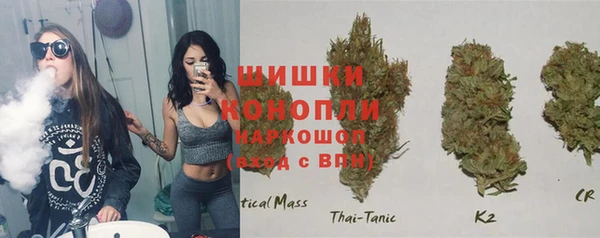 ПСИЛОЦИБИНОВЫЕ ГРИБЫ Белокуриха