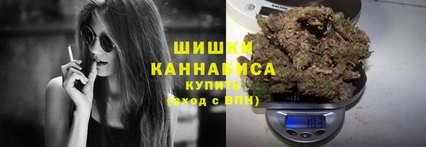 прущие грибы Беломорск
