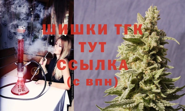 прущие грибы Беломорск