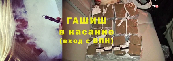 прущие грибы Беломорск