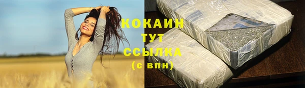ПСИЛОЦИБИНОВЫЕ ГРИБЫ Белокуриха
