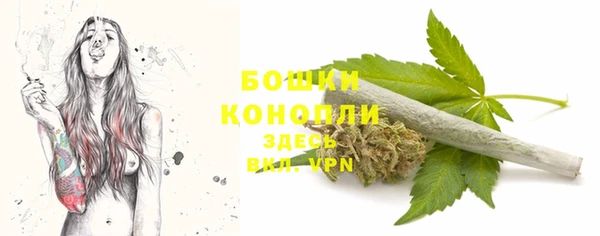 ПСИЛОЦИБИНОВЫЕ ГРИБЫ Белокуриха