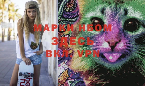 ПСИЛОЦИБИНОВЫЕ ГРИБЫ Белокуриха